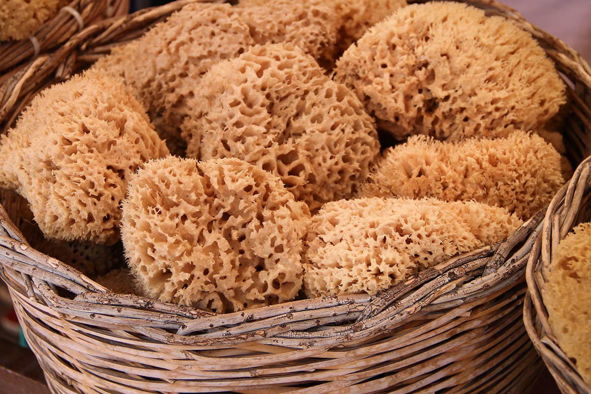 natural sponges in a basket