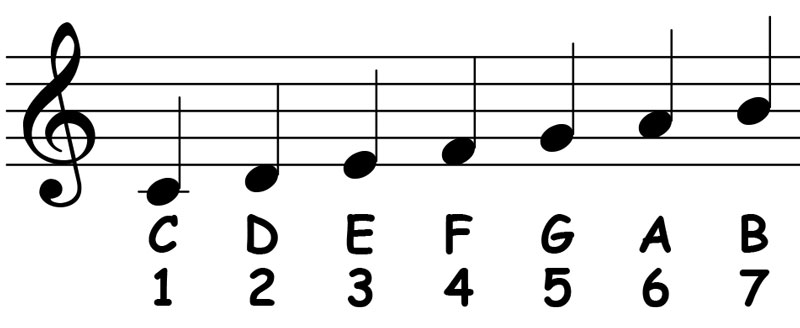 music notation showing the scale degrees for the c major scale