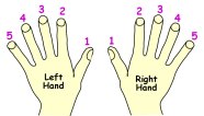Fingering Numbers For Piano Learn Correct Fingering And Hand Position Fingering Numbers For Piano Learn Correct Fingering And Hand Position