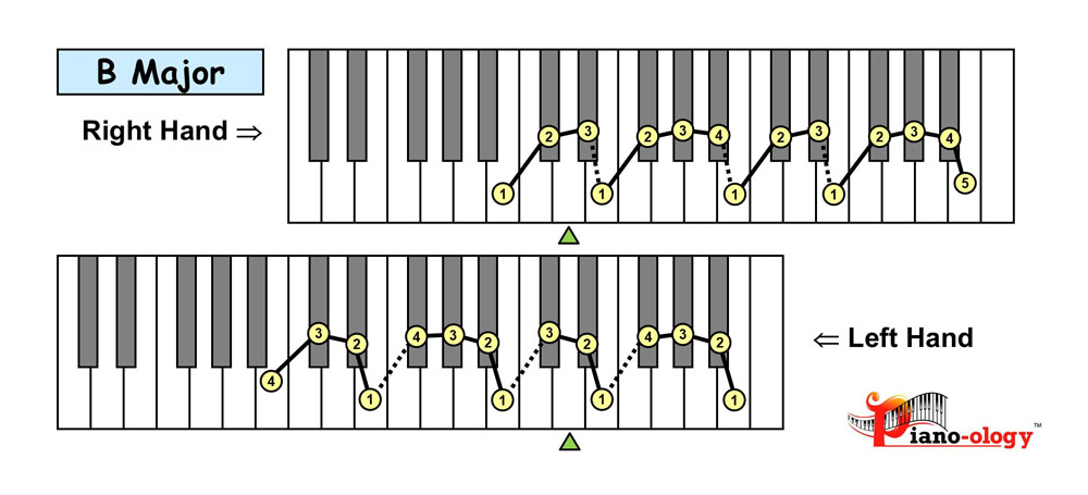 piano keyboard showing the b major scale fingering