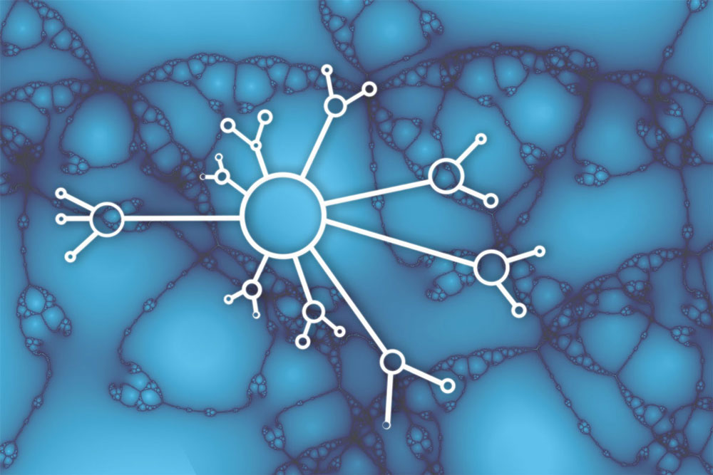 brain neurons and connections
