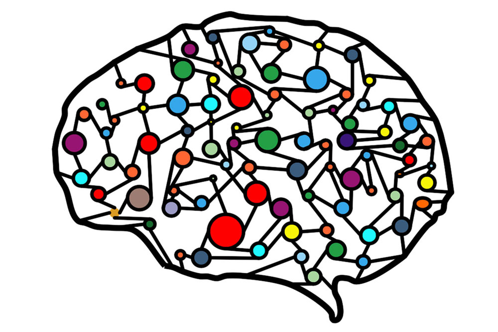 human brain showing colorful connections
