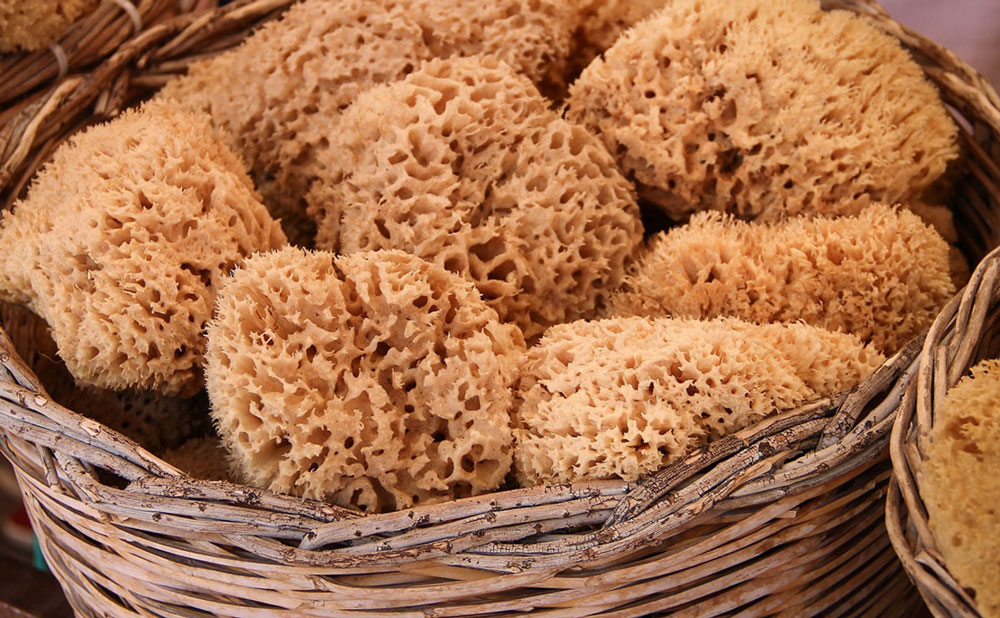natural sponges in a basket