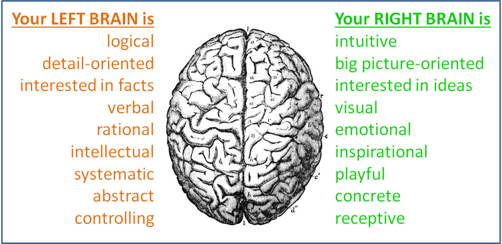 brain lateralization left right comparison chart