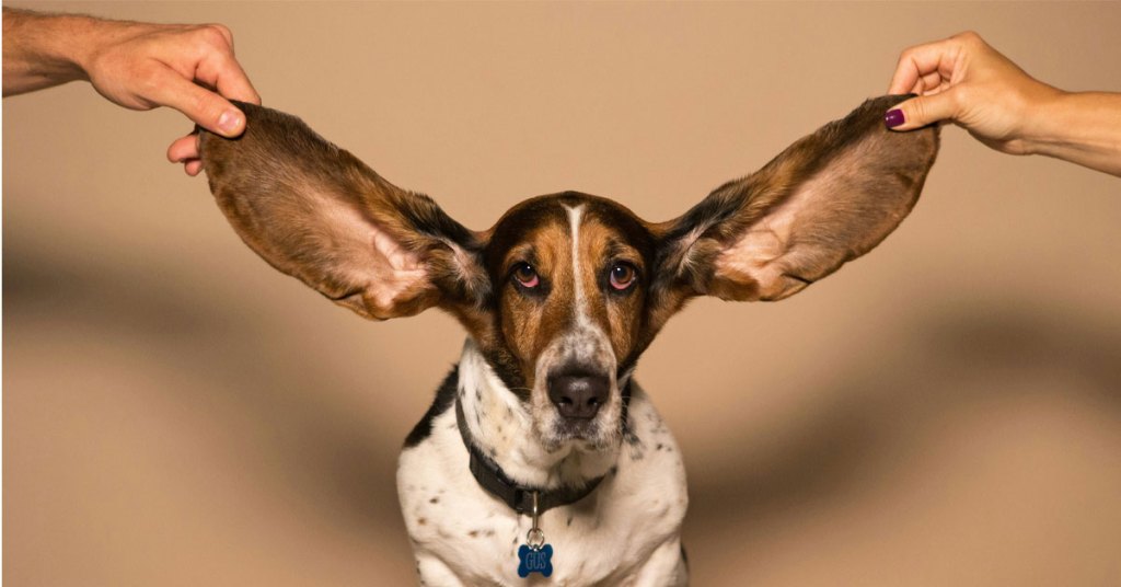 ear training fundamentals featured