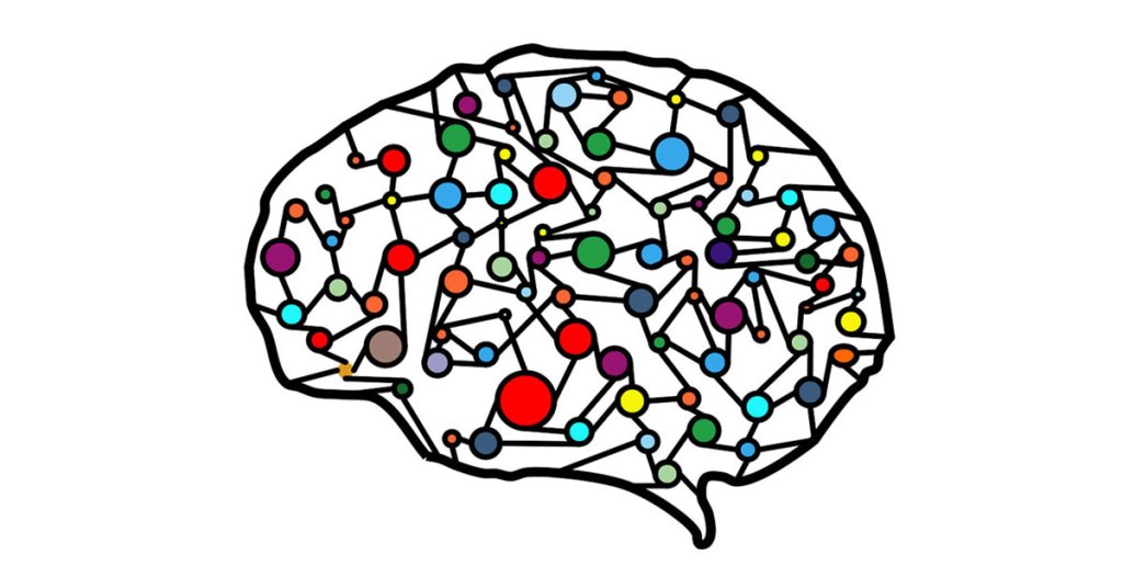 how your brains works featured